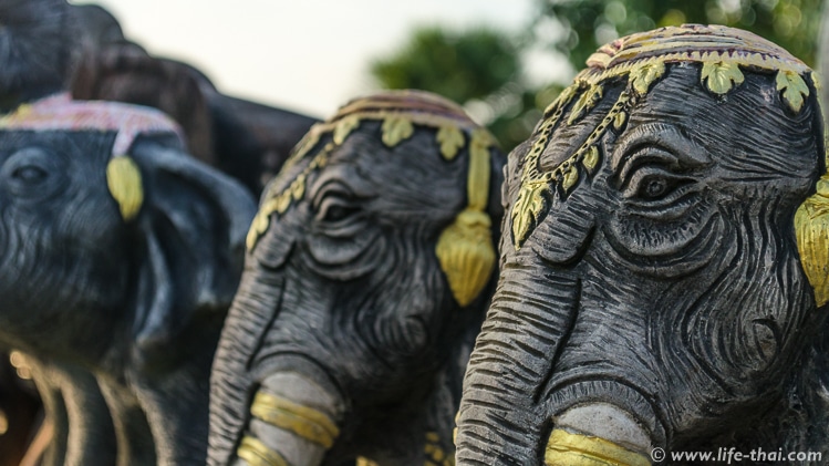 Слоны на мысе Промтхеп Кейп, Пхукет, Таиланд
