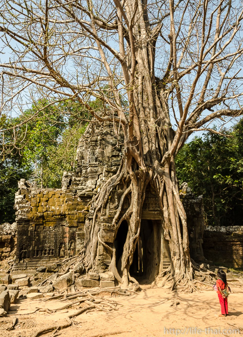 Та Сом, Ангкор, Камбоджа