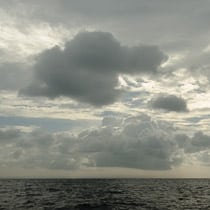 Киты, Шри Ланка