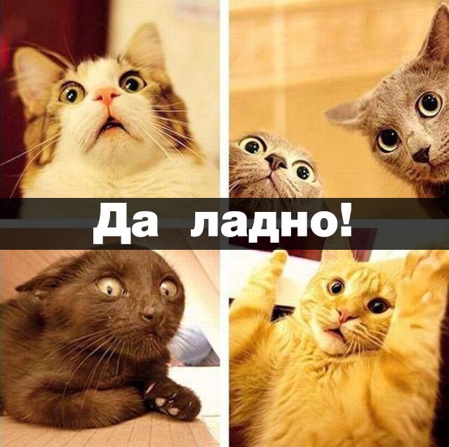 да ладно!