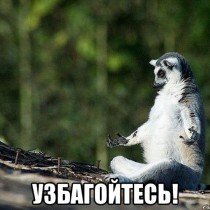 Узбагойтесь