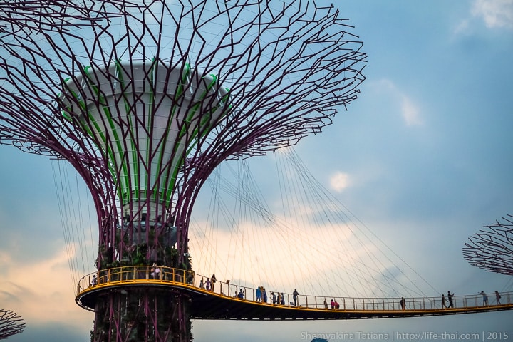 Супер-деревья, Сингапур