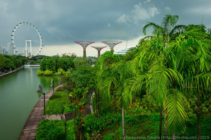 Сады у залива, Сингапур, фото