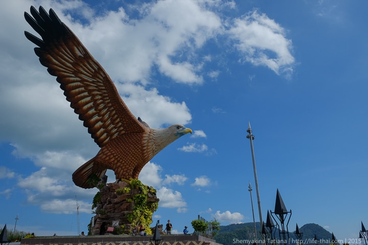 Орёл, остров Лангкави, Малайзия