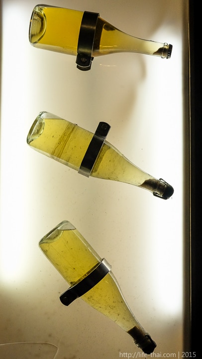 Абрау-Дюрсо, завод шампанских вин