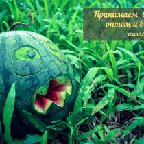 Ждём ваши вопросы