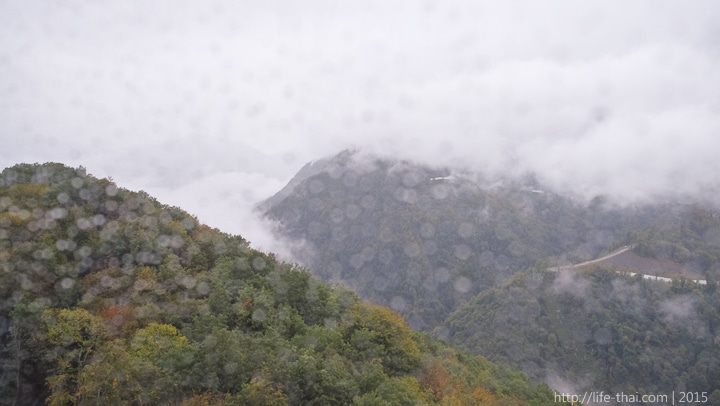 Канатная дорога, Красная поляна