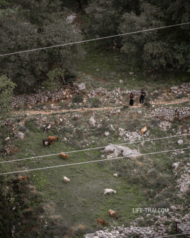 Бесплатная тропа на Которскую крепость Святого Иоанна, Черногория