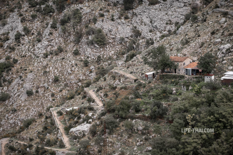 Кафе на бесплатной тропе на крепость Котора