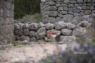 Бесплатный вход в Которскую крепость, Черногория
