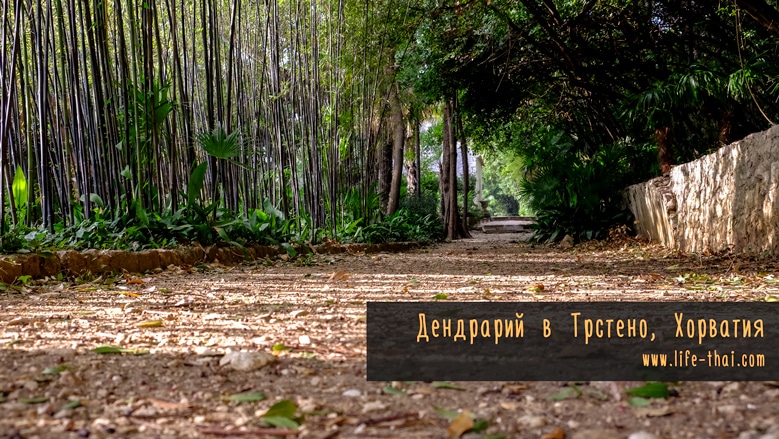 Ботанический сад Трстено Ботанический сад Трстено