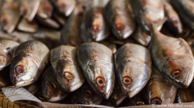 Рыба на тайском рынке