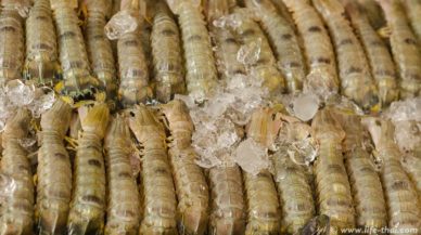 Морские и речные деликатесы на рынке на рельсах Меклонг, Таиланд