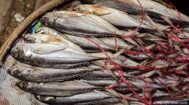 Рыба на тайском рынке