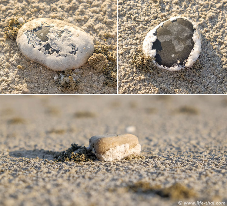 Камни в солёном озере в Ларнаке
