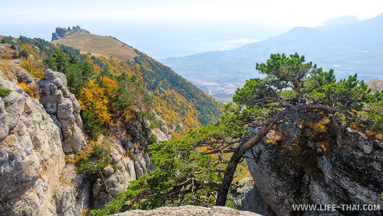 Вид на Алушту с вершины Демерджи, Крым
