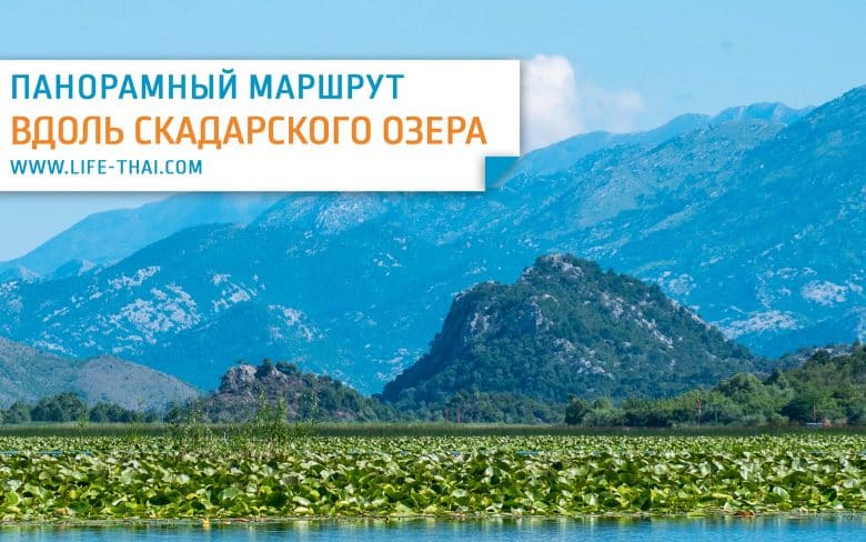 Живописный авто маршрут вдоль Скадарского озера на 1 день в Черногории