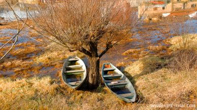 Старые лодки под старым деревом в Вирпазаре, Черногория