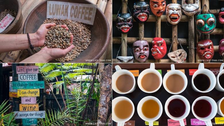 Кофейные плантации на Бали
