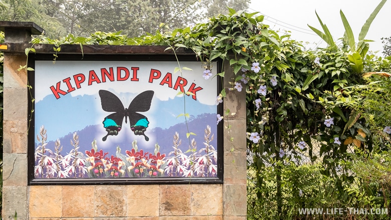 Интересные места в Кота-Кинабалу: парк бабочек