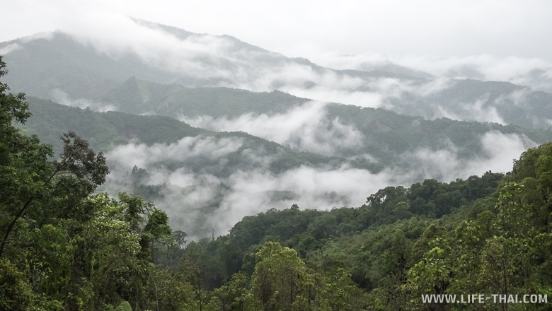 Горные склоны у Кота-Кинабалу, фото Борнео, Малайзия