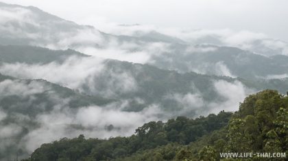 Фото склона горы в штате Сабах, Малайзия