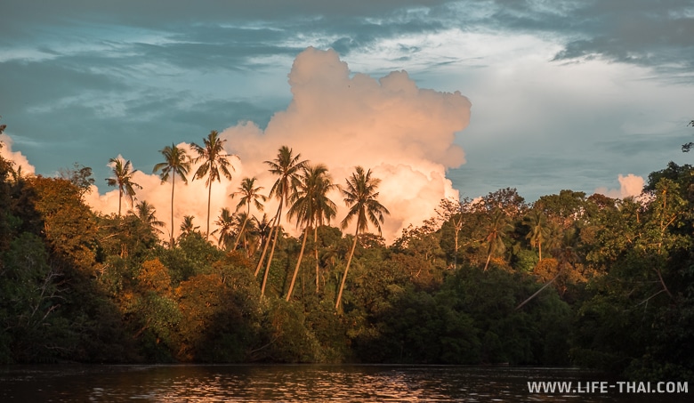 Закат на реке Клиас, достопримечательности острова Борнео, Малайзия