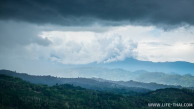Гора Кинабалу с чайных плантаций Сабах, Борнео, Малайзия