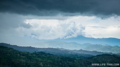 Гора Кинабалу с чайных плантаций Сабах, Борнео, Малайзия