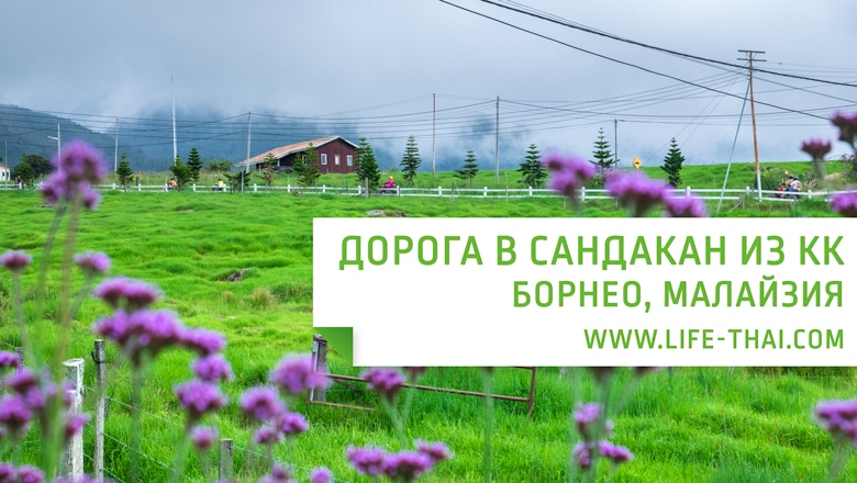 Достопримечательности Борнео по дороге из Кота Кинабалу в Сандакан