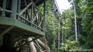 Canopy walkway в джунглях Борнео, Малайзия
