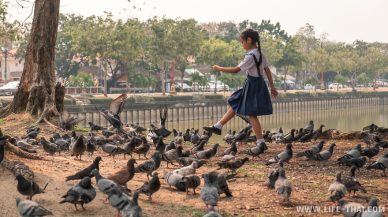 Девочка гоняет голубей в парке Праджак в Удон Тхани