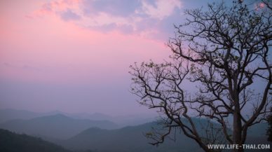 Закат. Немного тусклый, но красивый Сезон смога в городе Чиангмай, Таиланд