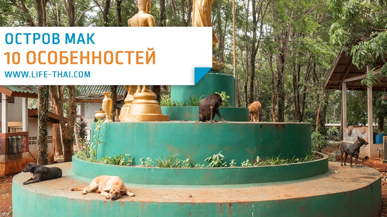 Остров ко Мак Особенности отдыха на острове Мак в Таиланде