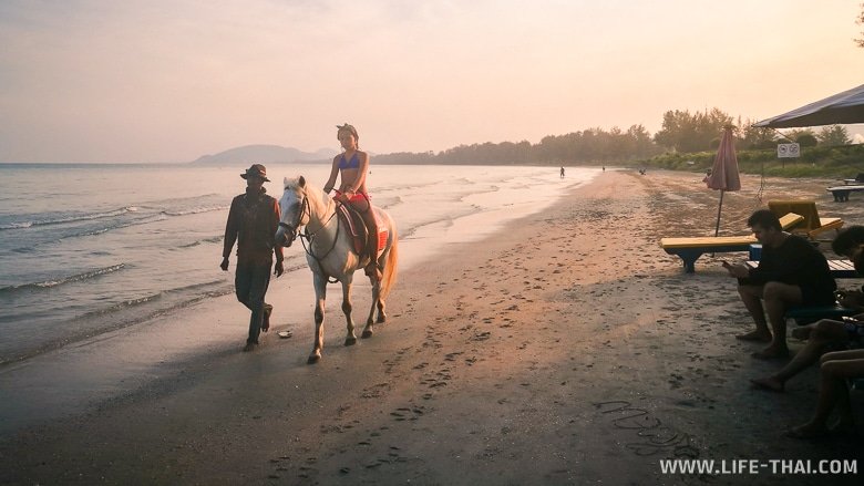 Катание на лошадях по пляжу Хуа Хина