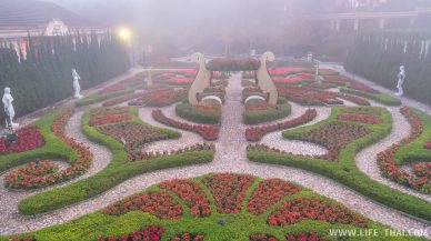 Красивый парк с цветами в тумане