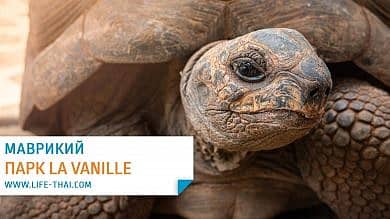 Парк La Vanille на Маврикии - гигантские черепахи и крокодилы