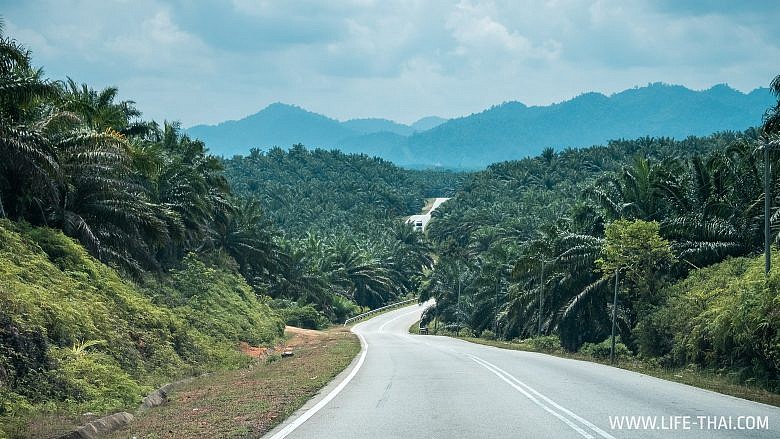 Дорога в нац. парк Таман Негара, Малайзия