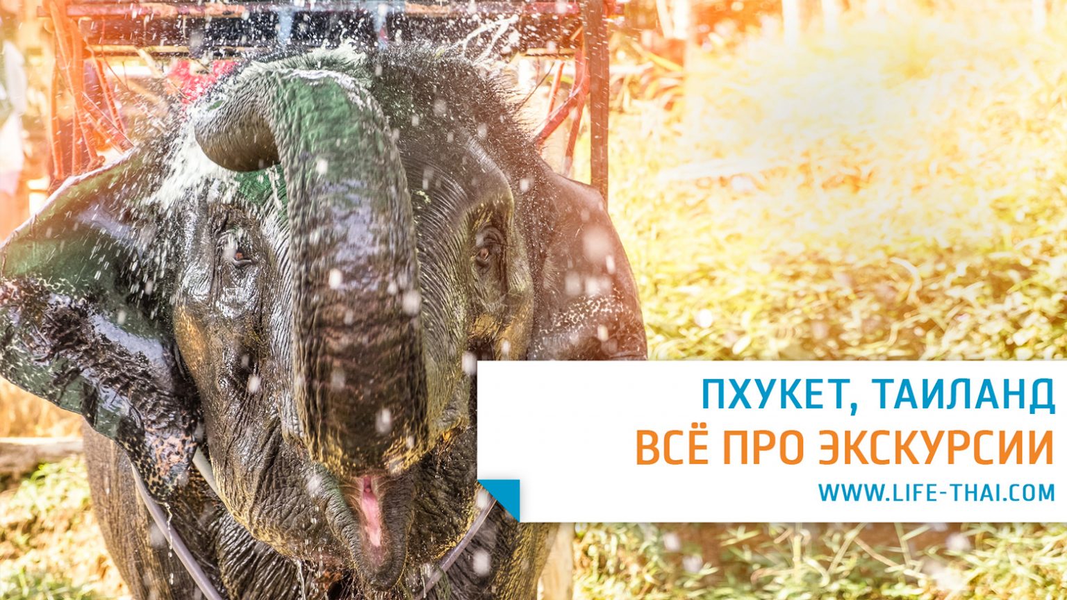 Путеводитель по Таиланду. Отдых на курортах Таиланда | Страница