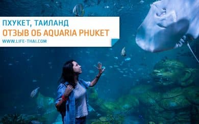 Отзыв о новом аквариуме на Пхукете в Central Floresta