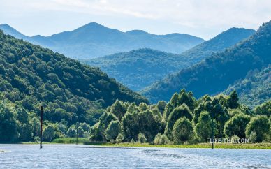 Природа на Скадарском озере и реке Црноевичей