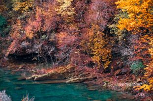 Каньон реки Мртвица в октябре в Черногории