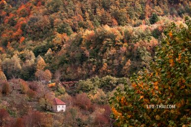 Октябрь в Черногории - фото