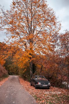 Осень в Черногории, октябрь в горах