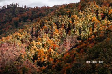 Осень в горах Черногории