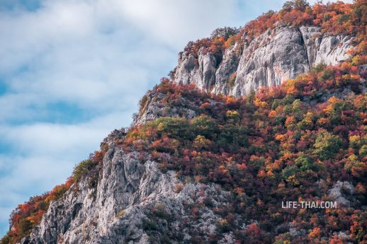 Фото каньона реки Мртвица, Черногория