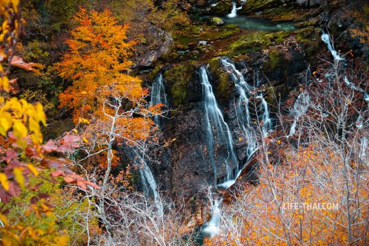 Водопад в каньоне Мртвица, Черногория