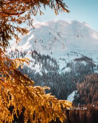 Снежные горы в Черногории зимой