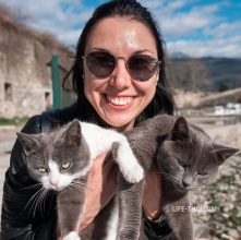 Коты в Черногории