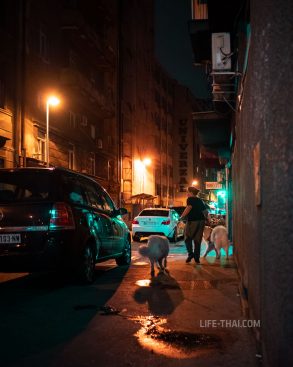 Стритфото ночного города - Белград, Сербия